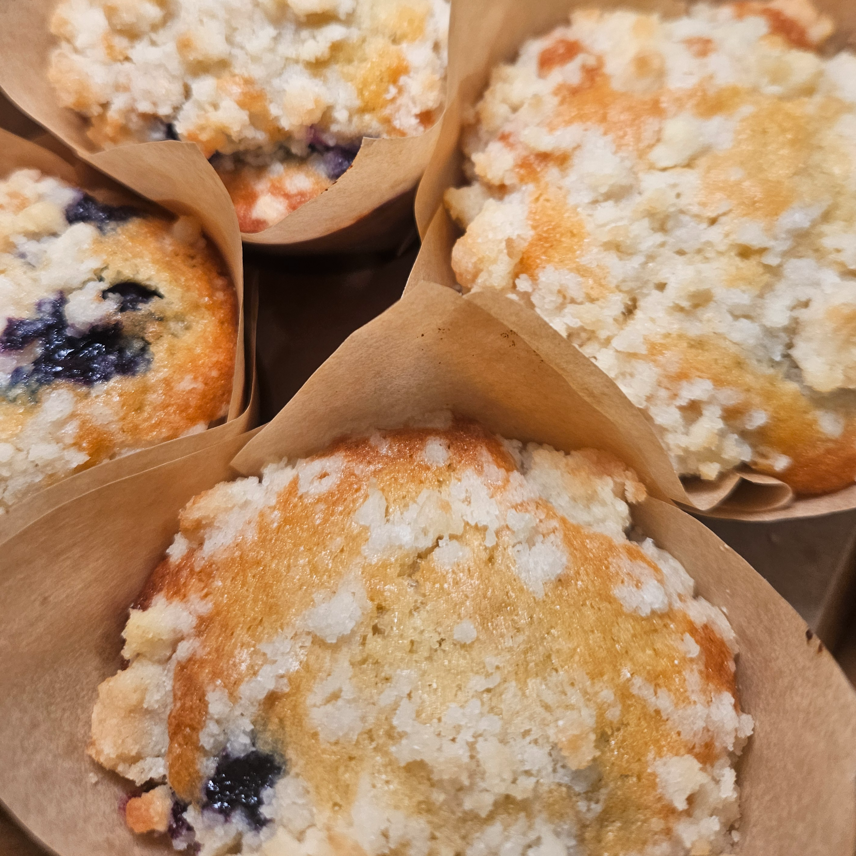 Blueberry Buttermilk Sourdough Muffins