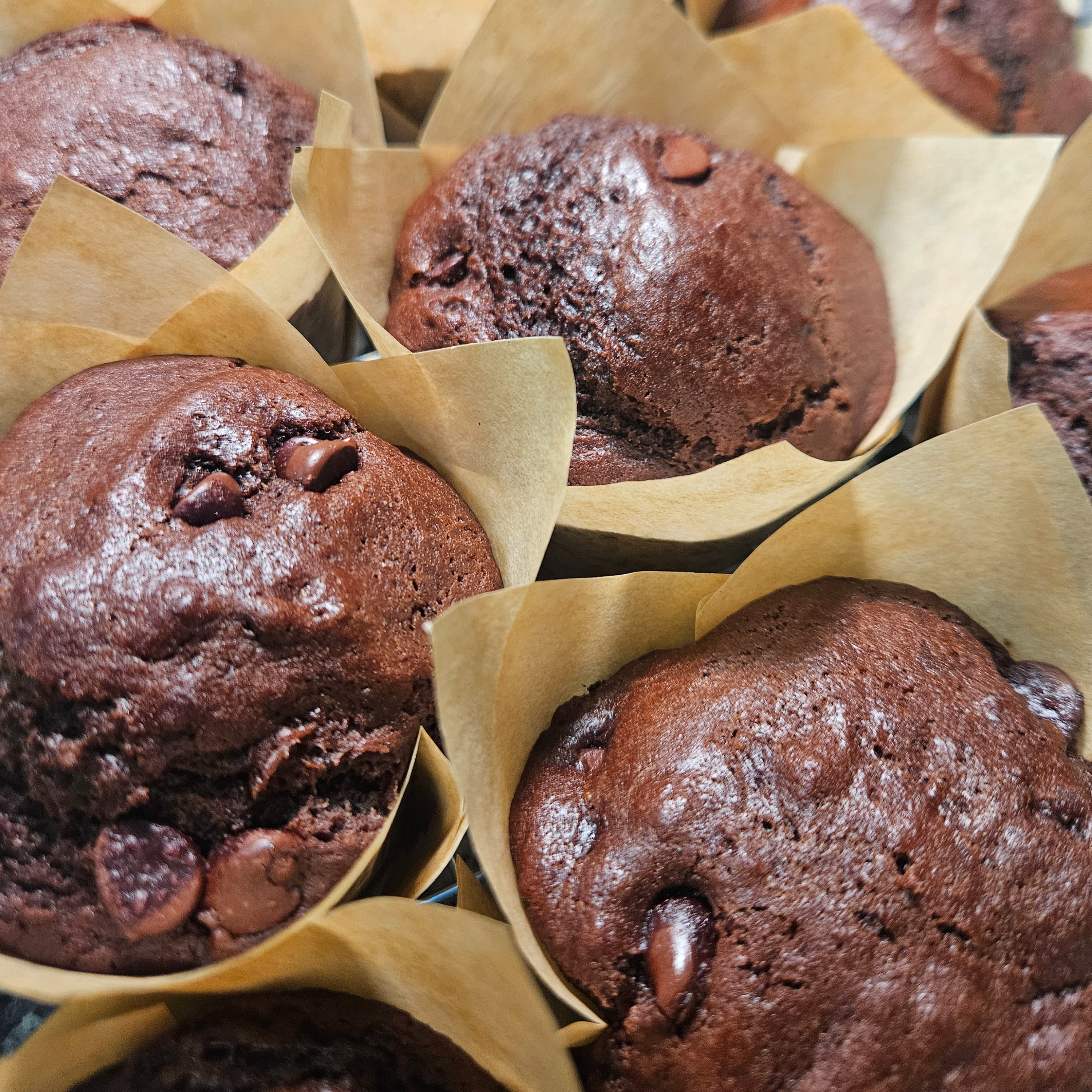 Double Chocolate Sourdough Muffins
