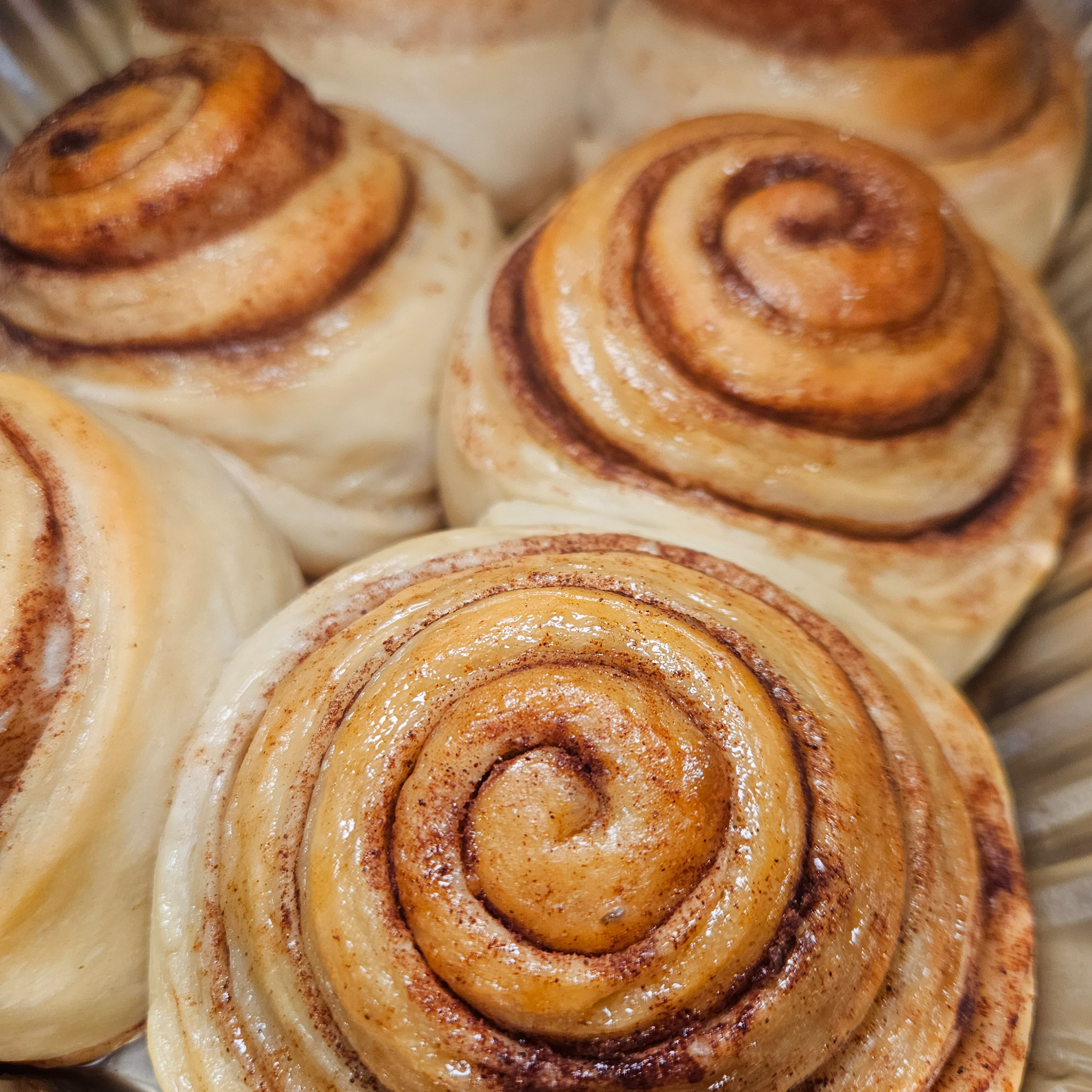 Sourdough Cinnamon Rolls