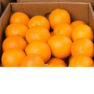 California Navel Oranges - 18 lb. box