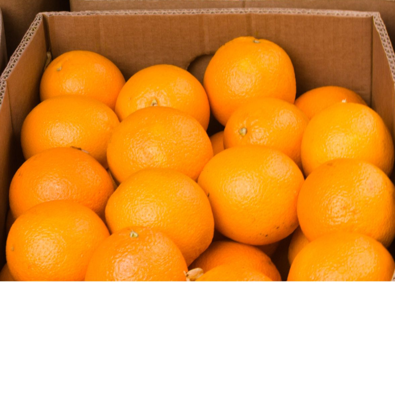 California Navel Oranges - 18 lb. box Main Image