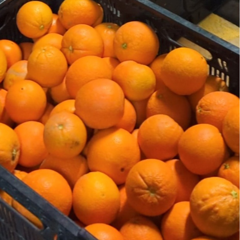 California Navel Oranges - 40 lb. box (Banana Box Size) 