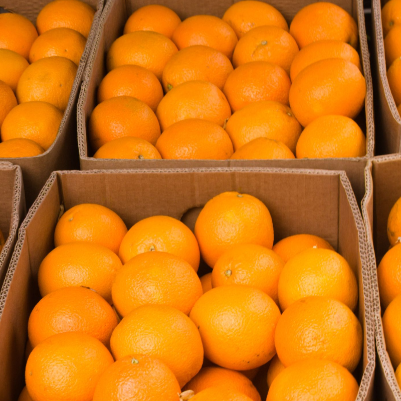 California Navel Oranges - 40 lb. box (Banana Box Size)  Main Image