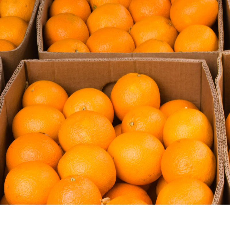 California Navel Oranges - 26 lb. box.. Main Image