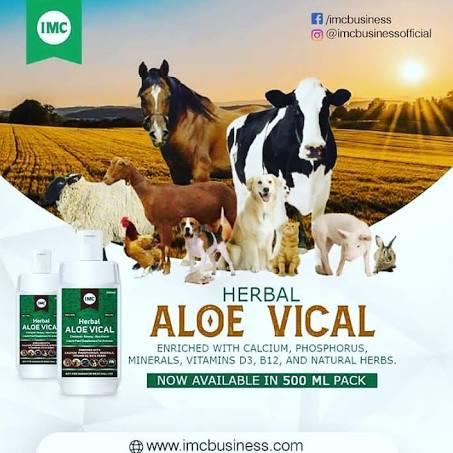 HERBAL ALOE VICAL