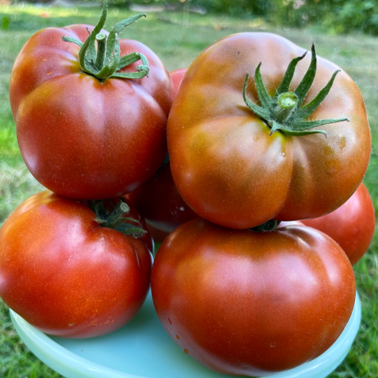 Chocolate Heart Tomato