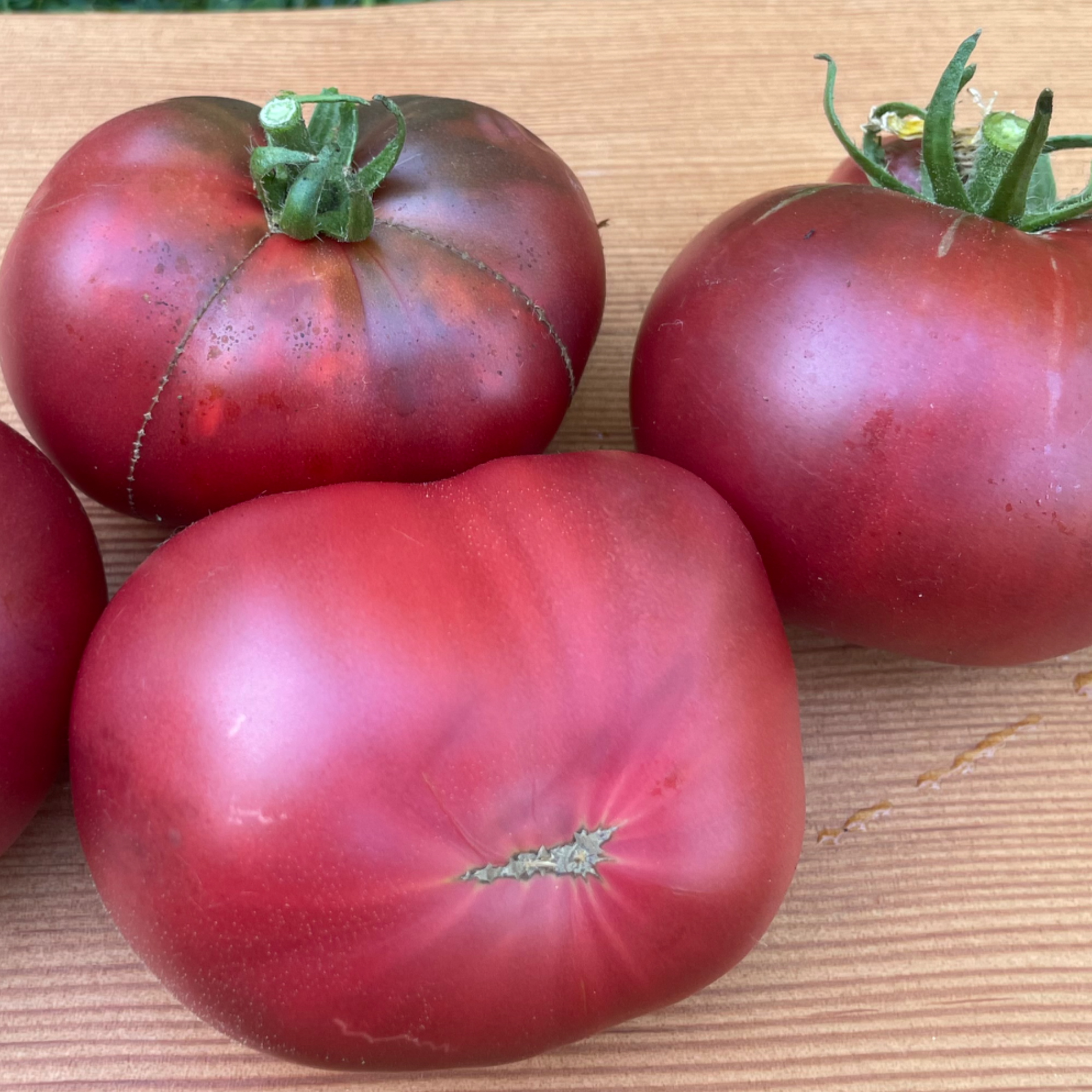 Rosella Purple Dwarf Tomato