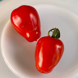 Gardener's Sweetheart Cherry Tomato
