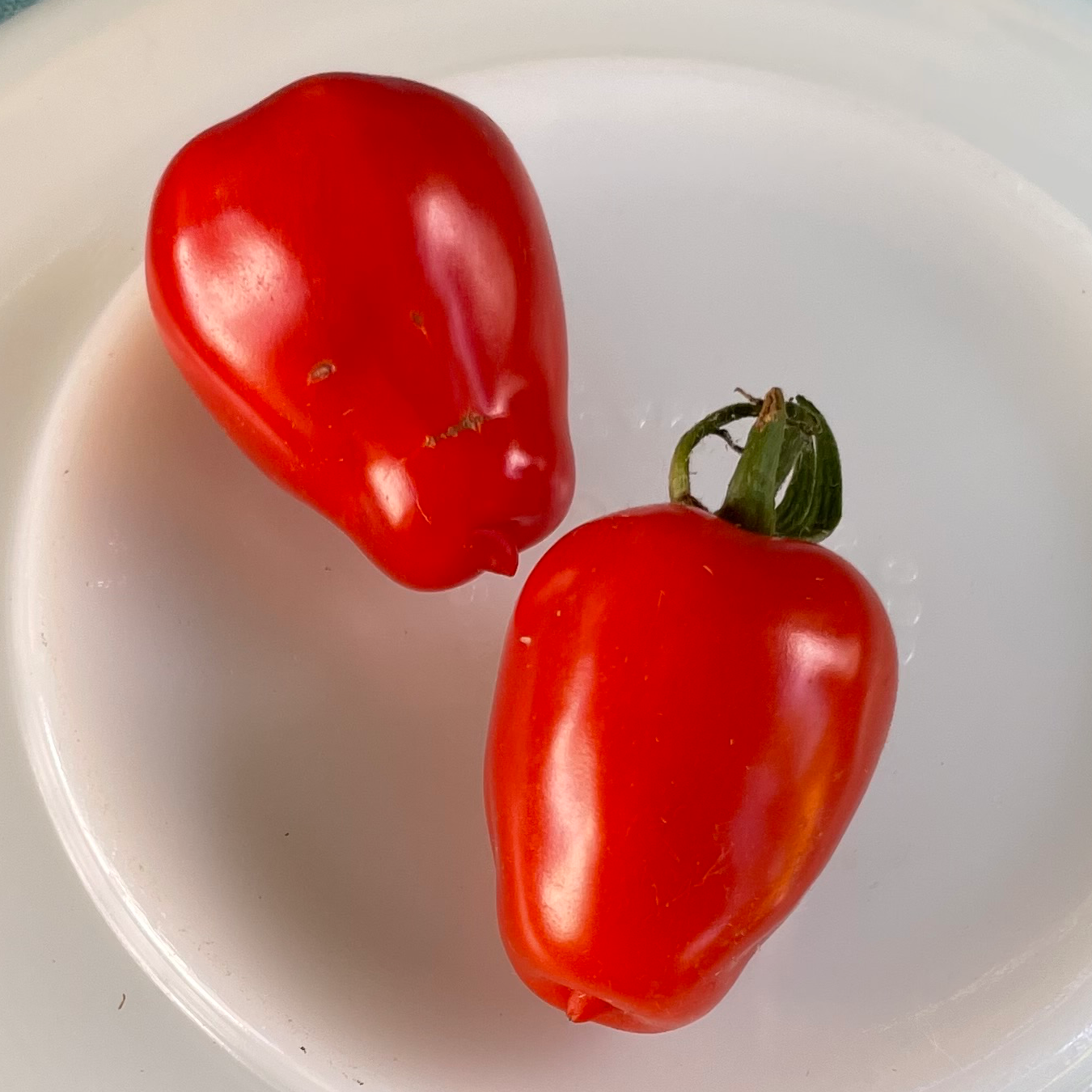 Gardener's Sweetheart Cherry Tomato