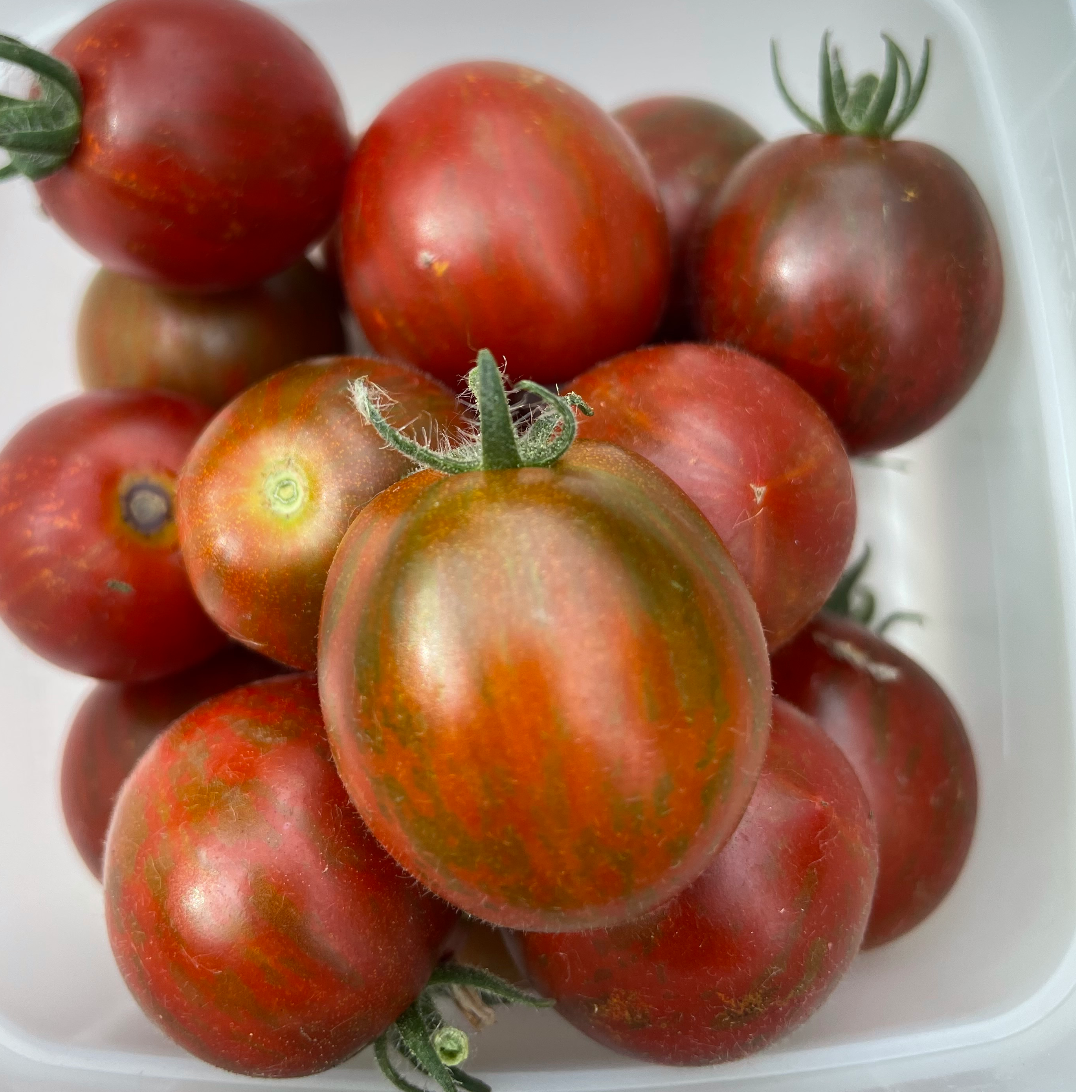 Dark Stripes Micro Dwarf Tomato