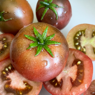 Velvet Night Dwarf Tomato