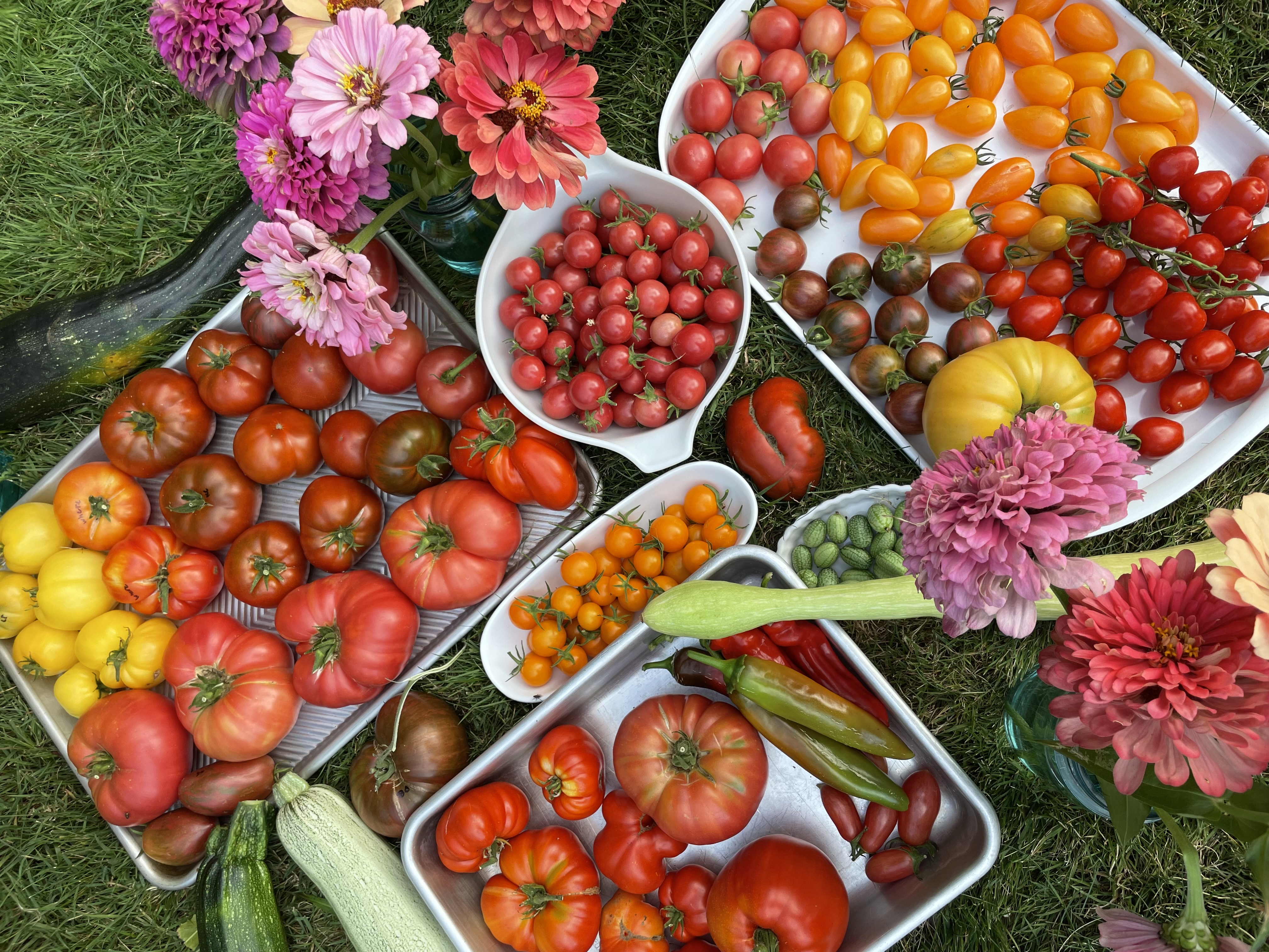 Gone to Seed - Banner