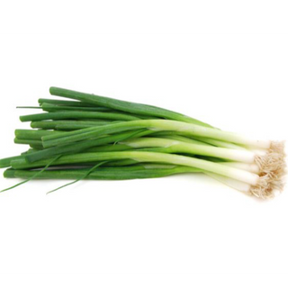 Spring Onion