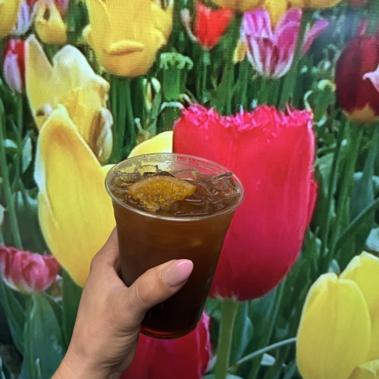 Citrus Tonic Espresso 