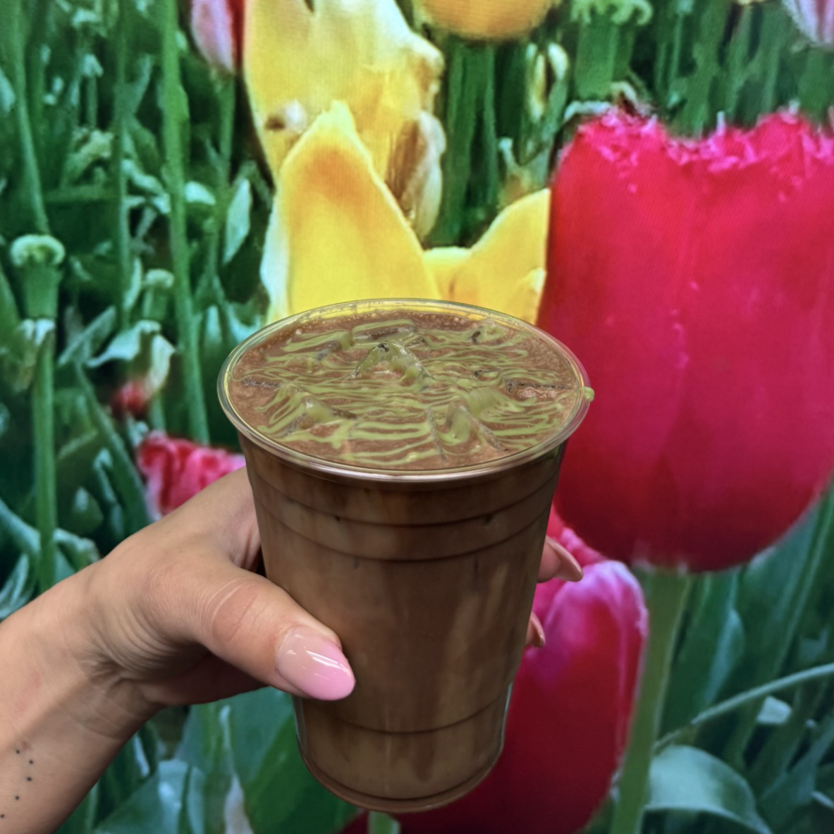 Pistachio Cream Latte 