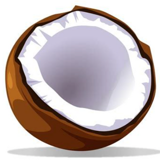 HOMEMADE Protein Pudding - Coconutty Caramel - 1 Cup - 1 g F, 20 g C, 42 g P 