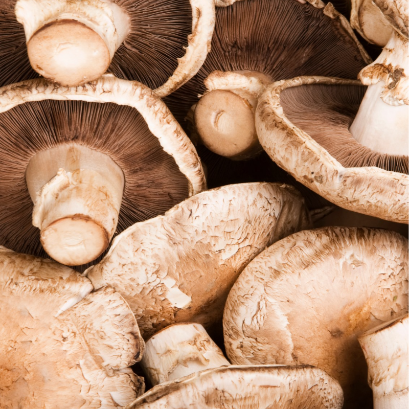 Cogumelos Portobello / Portobello Mushrooms