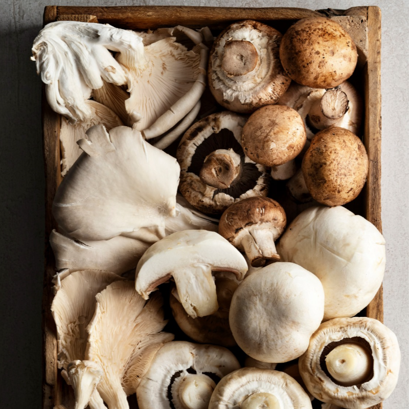 Sortido de Cogumelos / Mushroom Mix  (Pleurotus, Portobello, Marron, Shiitake)