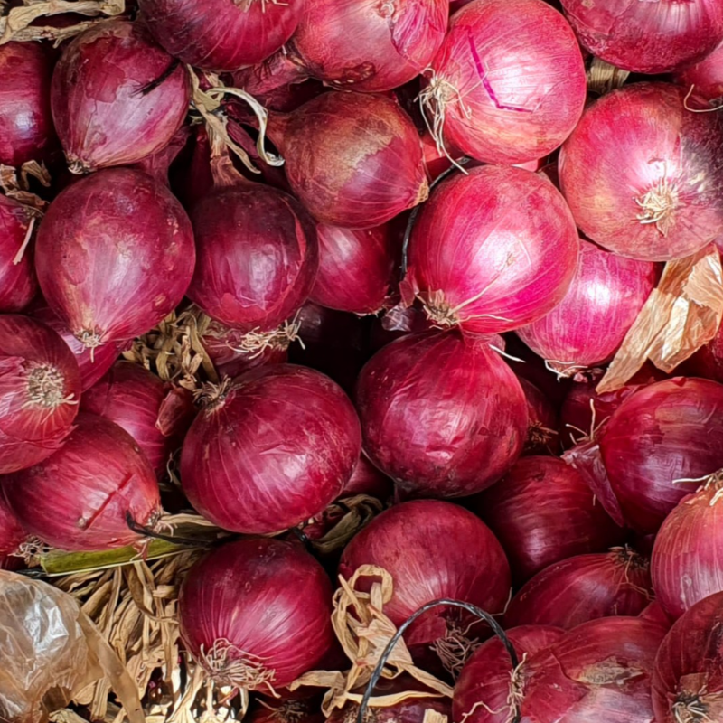 Cebola Roxa / Red Onion