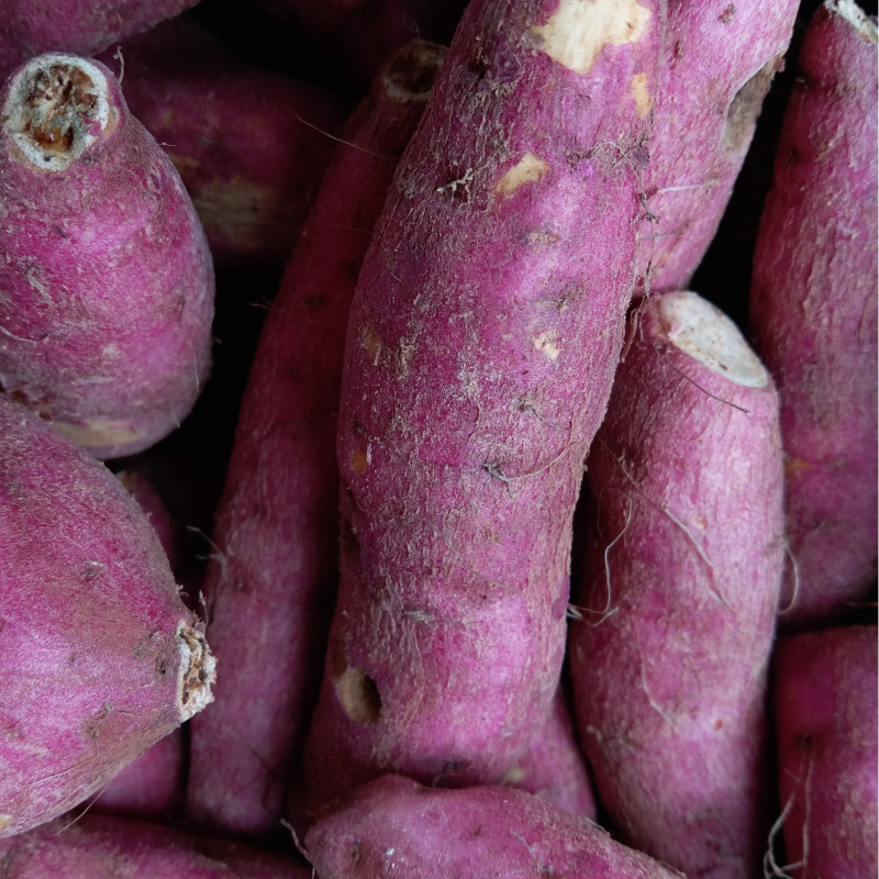 Batata doce roxa / Purple Sweet Potato