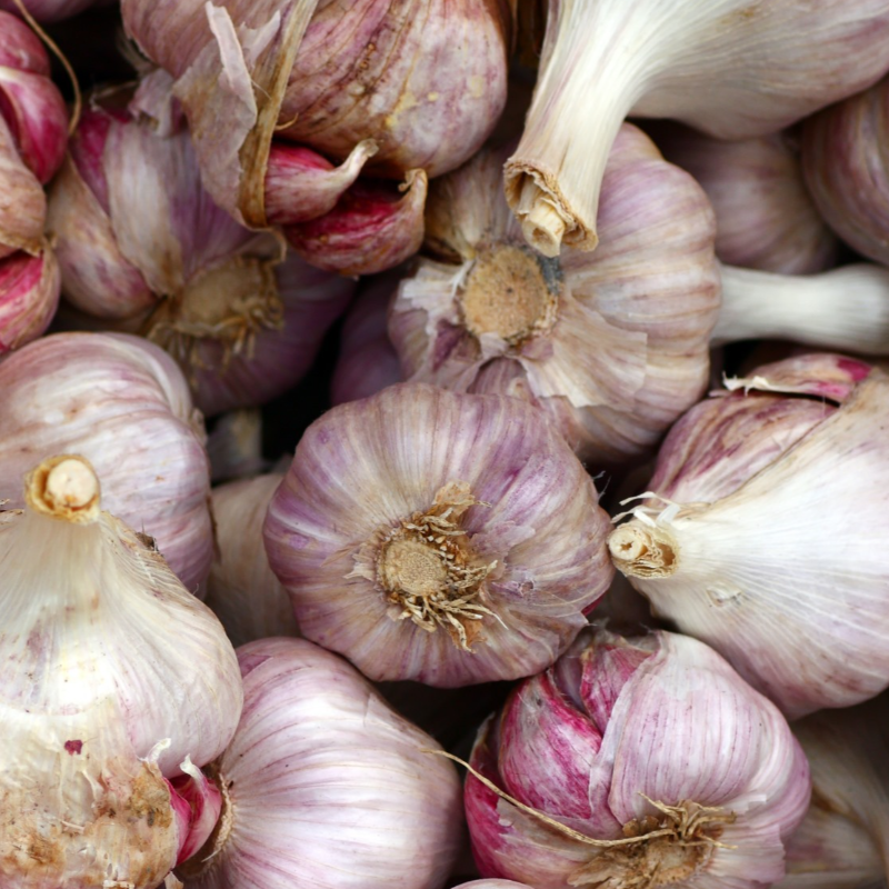 Alhos Secos / Garlic