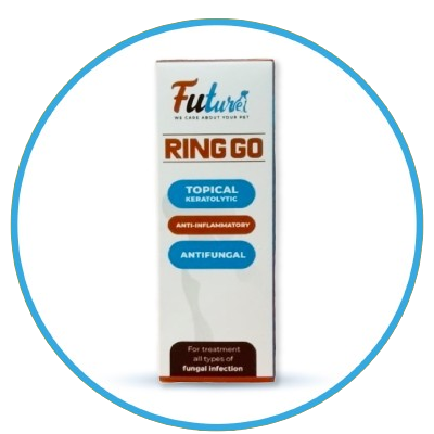 Ringgo Main Image