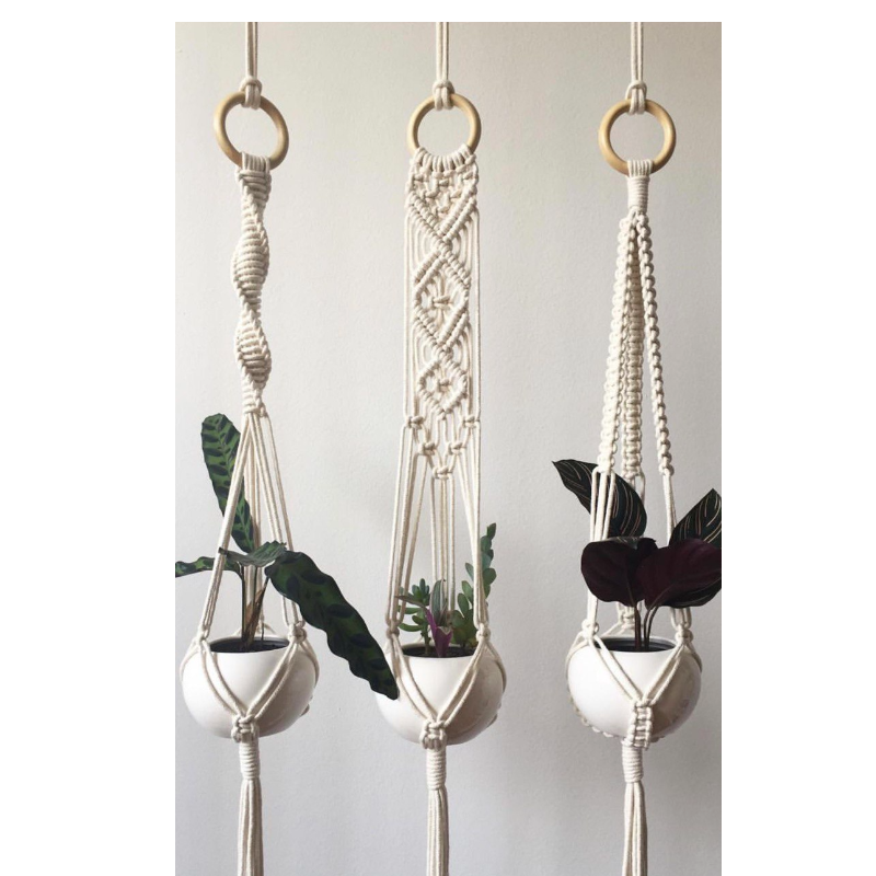 Plant Hangers Main Image