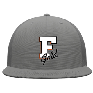 Graphite Fitted Florida Gold Hat
