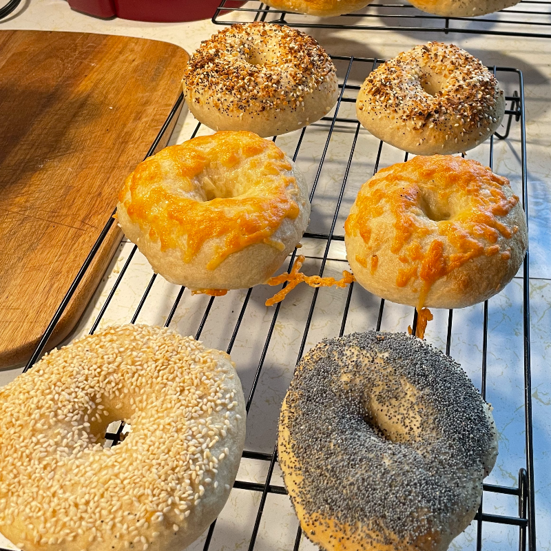 Artisan Bagels Main Image