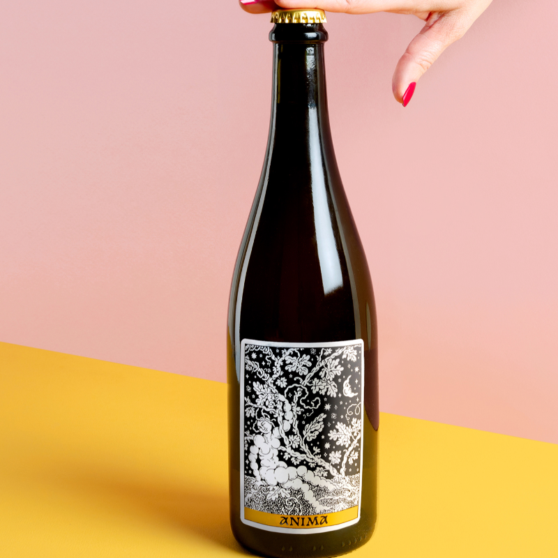 Anima 2024 / Bulle COUP DE COEUR