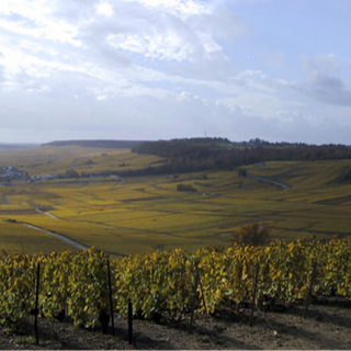 Vieilles Vignes du Levant 2014