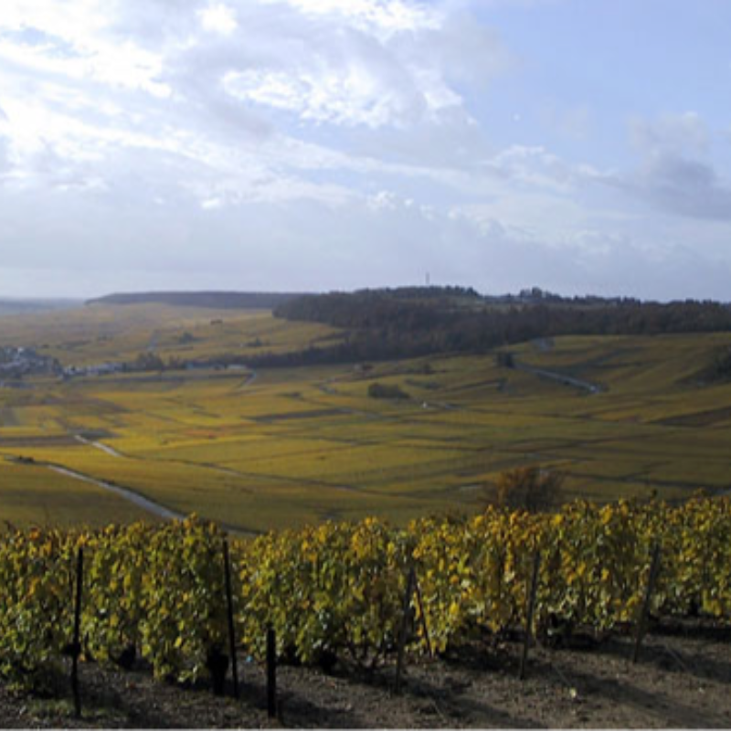 Vieilles Vignes du Levant 2014