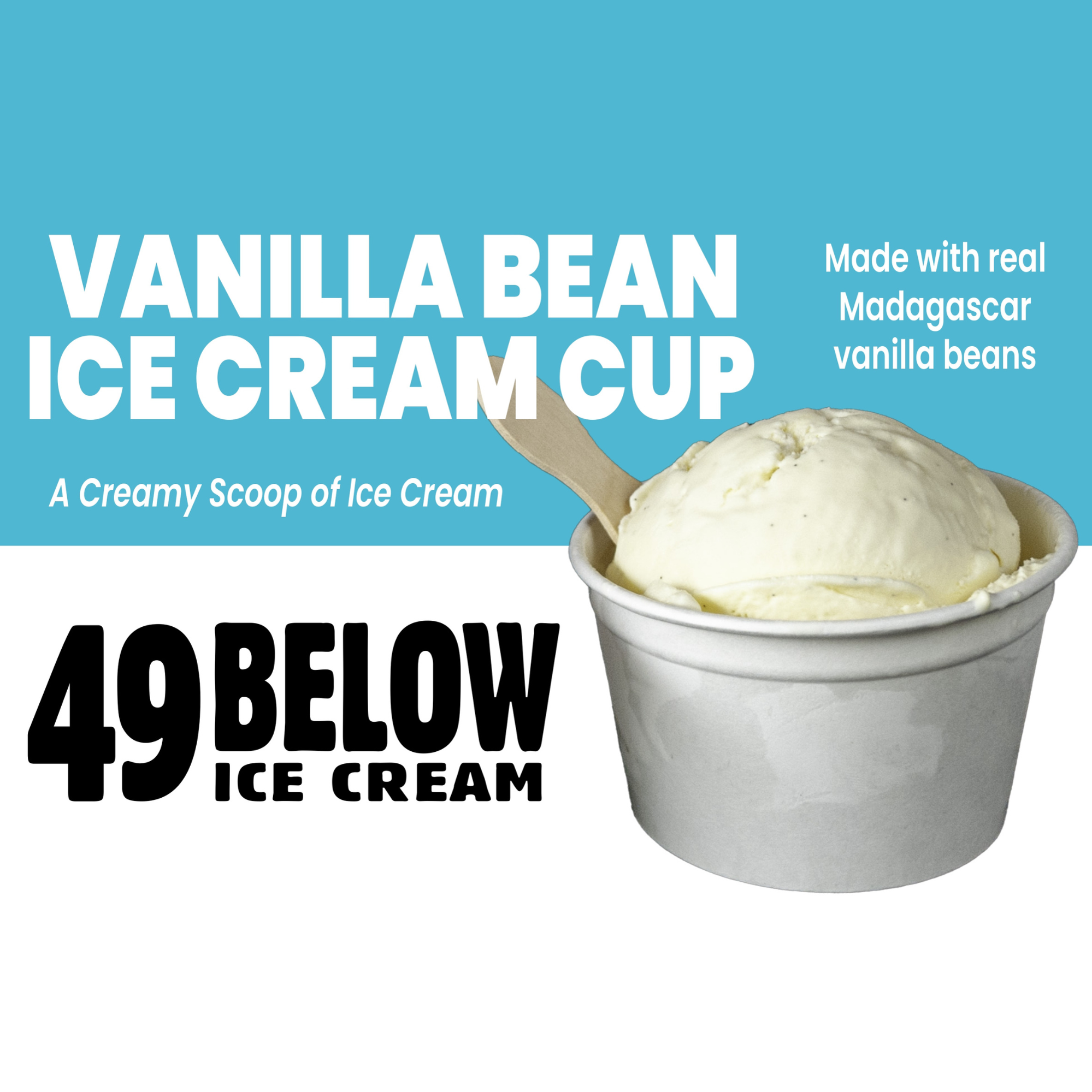 Vanilla Bean Ice Cream Cup (12 cups/per case)