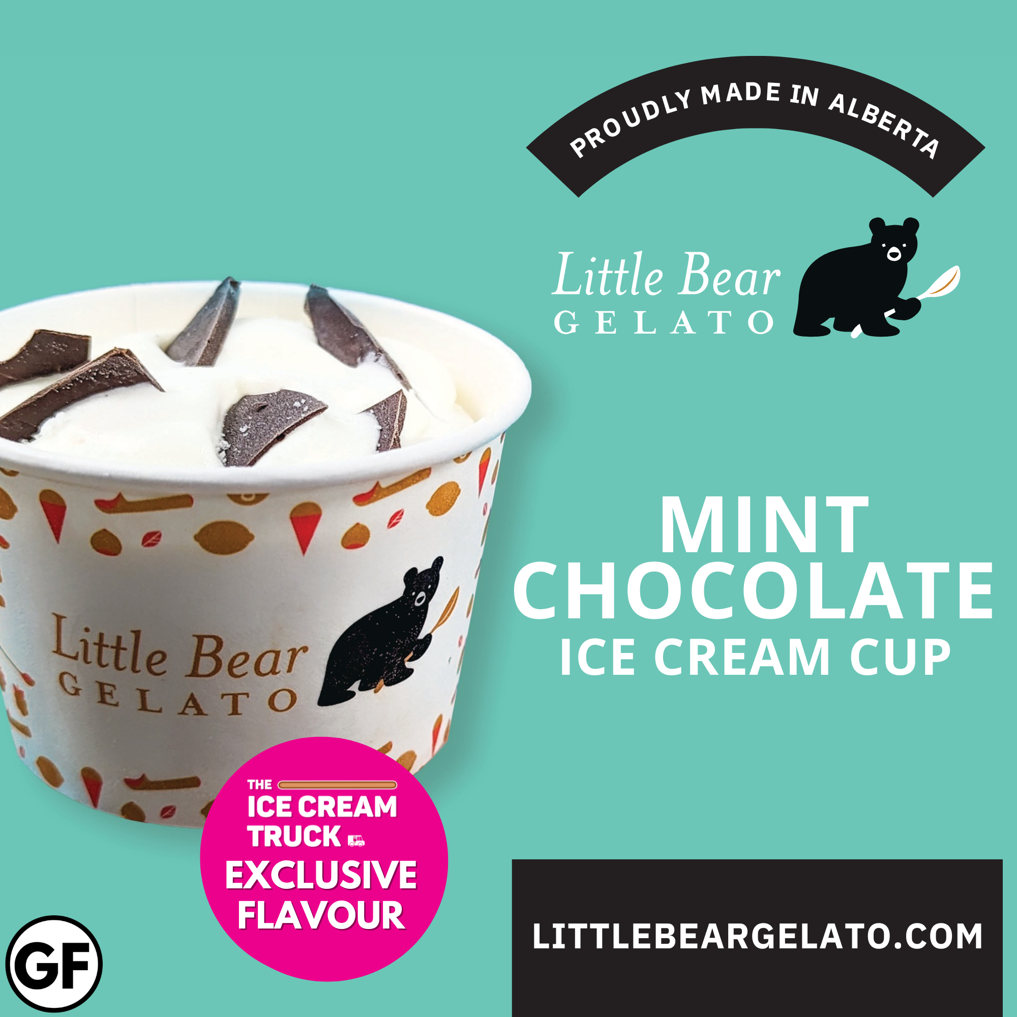 Mint Chocolate Ice Cream Cup - The Ice Cream Truck EXCLUSIVE (12 cups/per case)