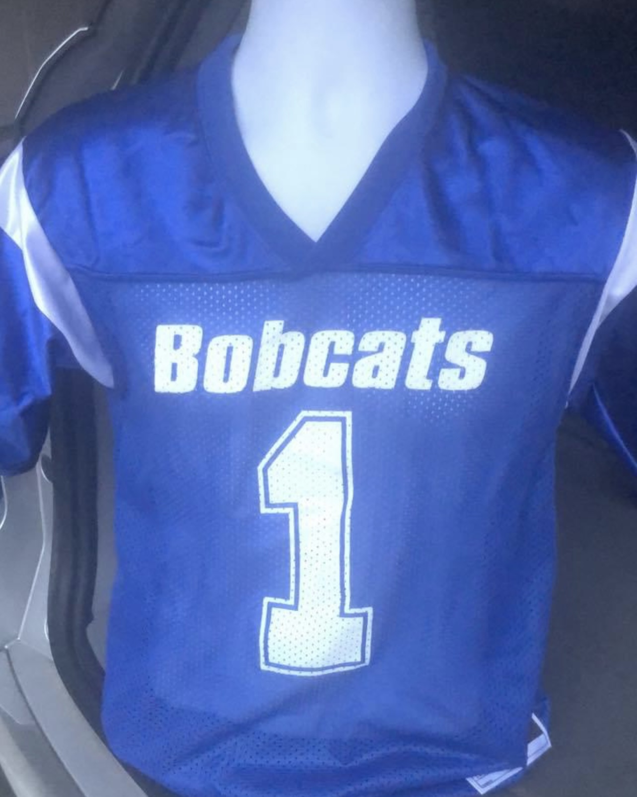 Football Jersey (Royal & White)