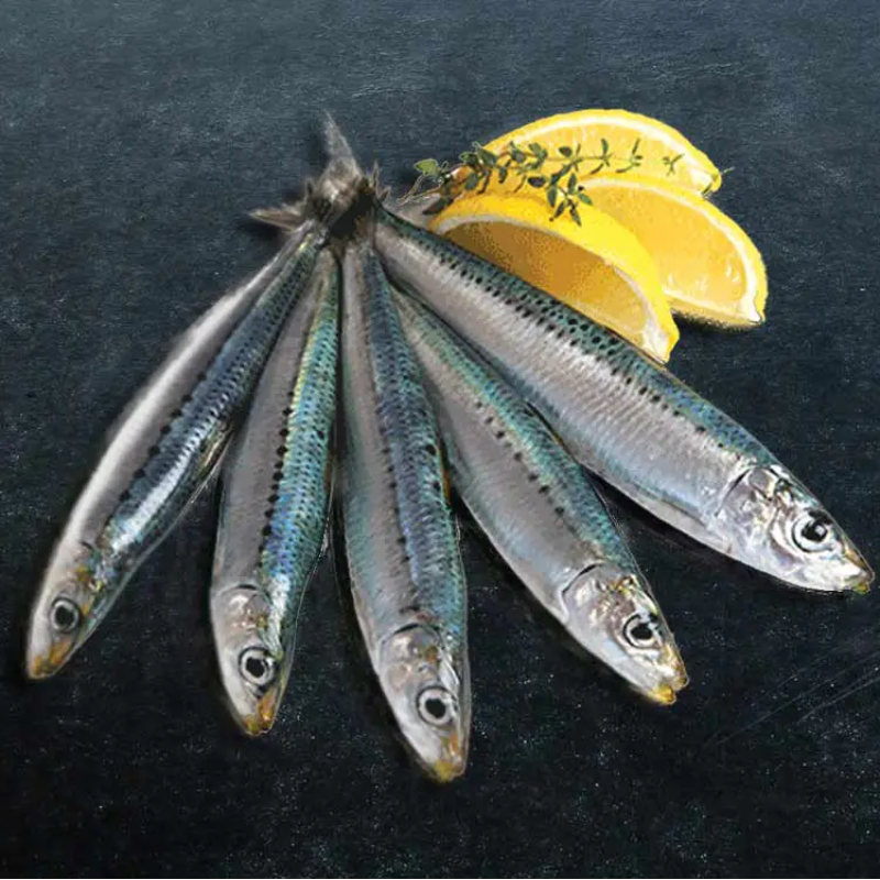 Fresh Sardines 3kg Box Main Image