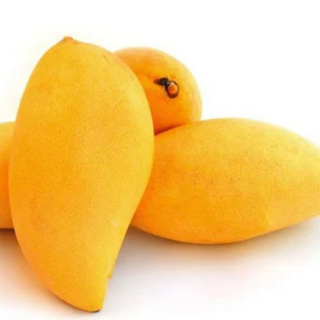 Sindhri Mangoes