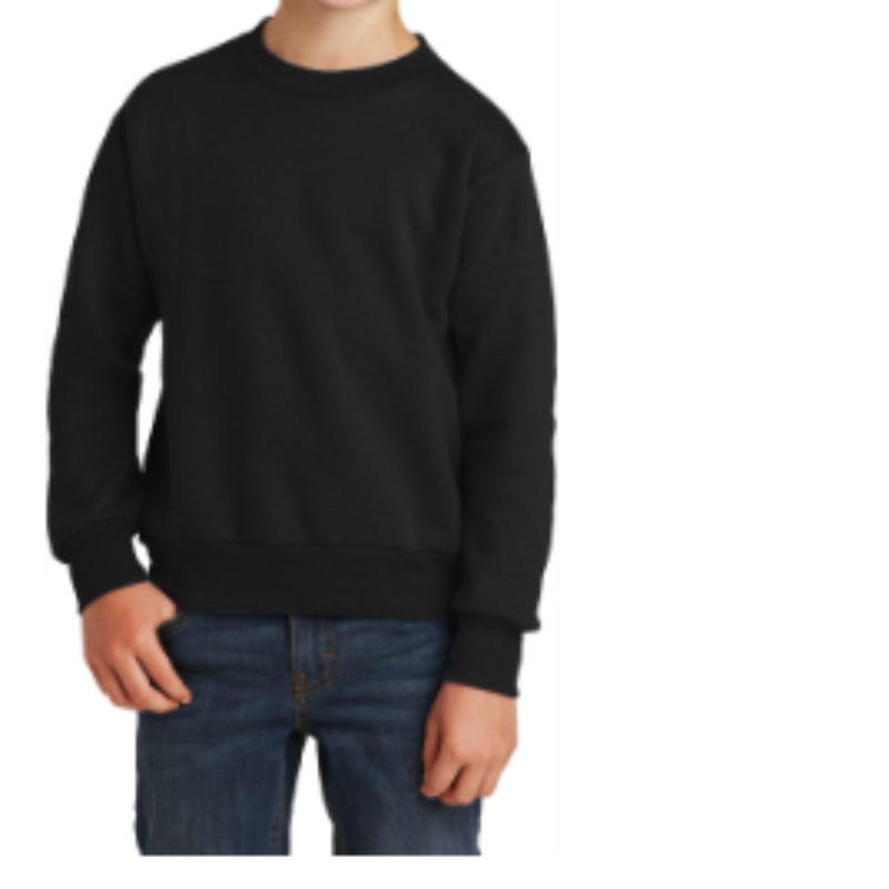 Black Core Fleece Crewneck Sweatshirt- Youth Sizes Main Image