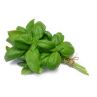 Basil regular - (fresh bunch)