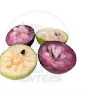 Star apple 