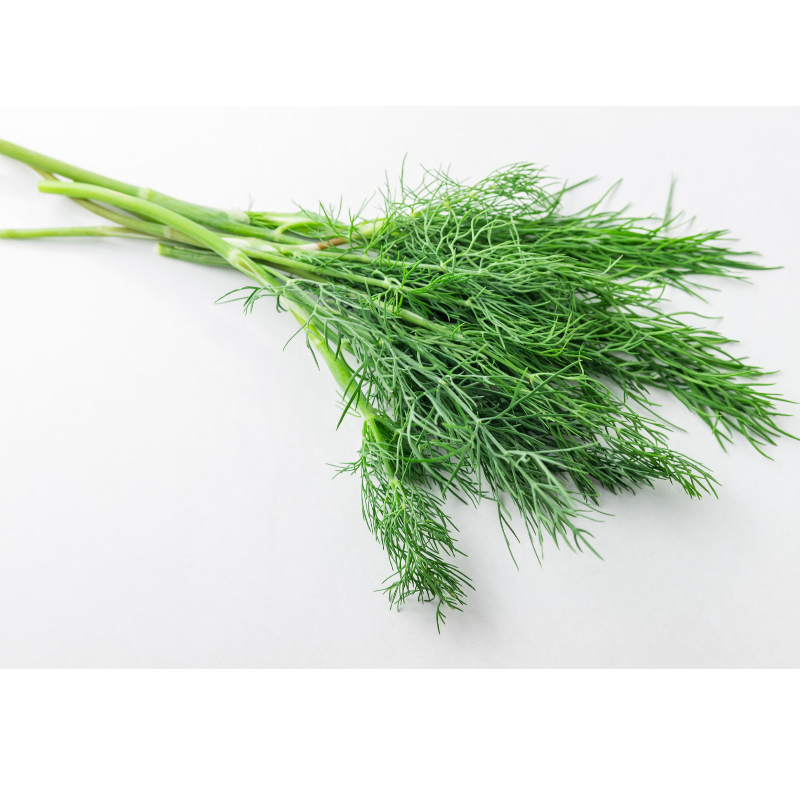 Dill (100g) Main Image