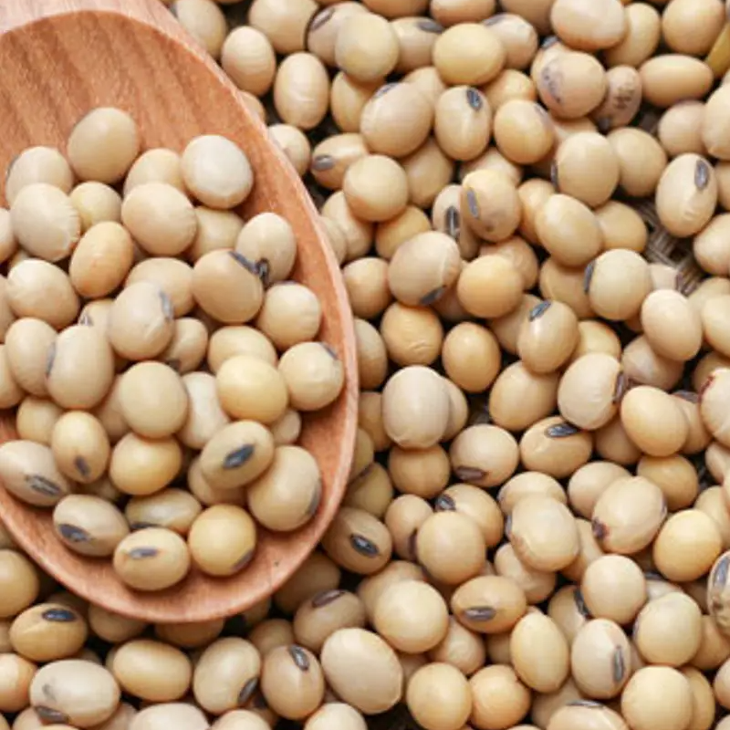 Soya Beans - kg Main Image