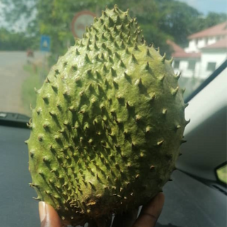 Soursop (not available)