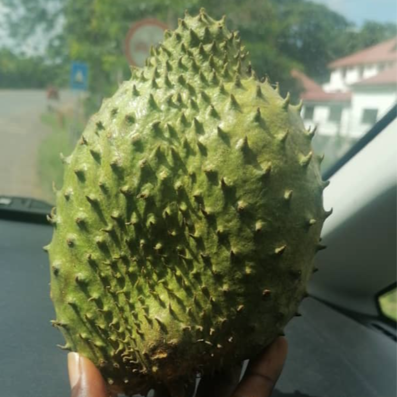 Soursop (not available) Main Image