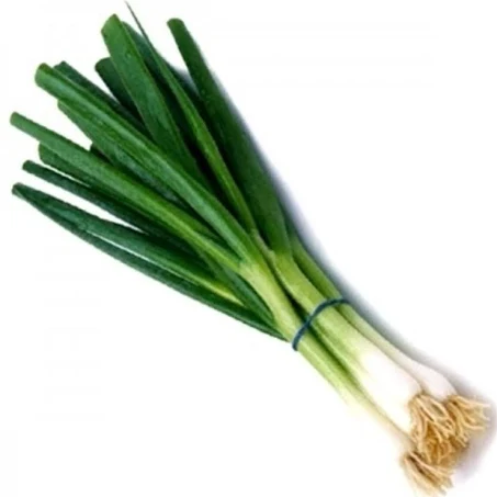 Spring Onion - bunch