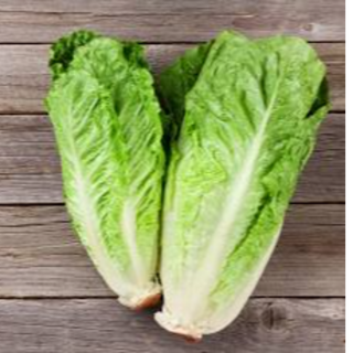 Lettuce - Romaine (200g)