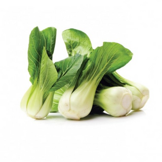 Pak Choi 