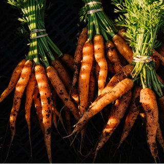 Carrots