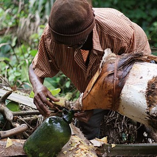 Palm Wine