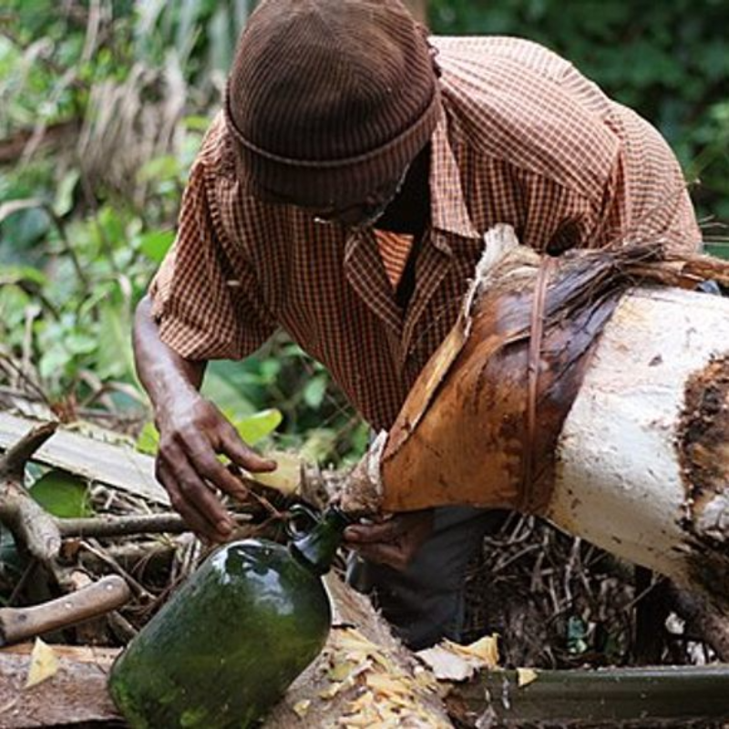 Palm Wine Main Image